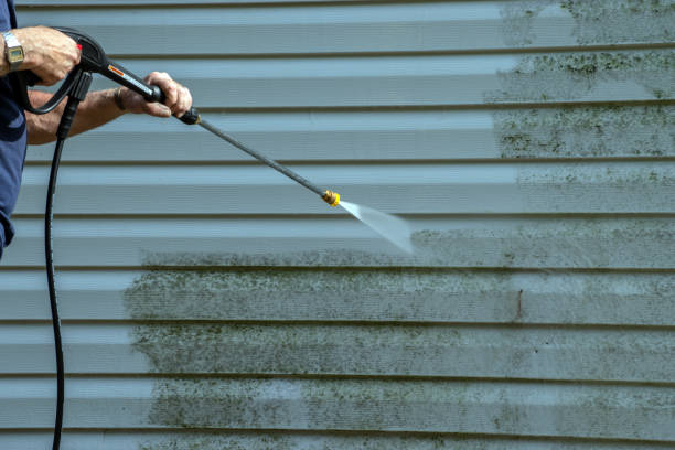 Professional Pressure Washing in St Francisville, LA